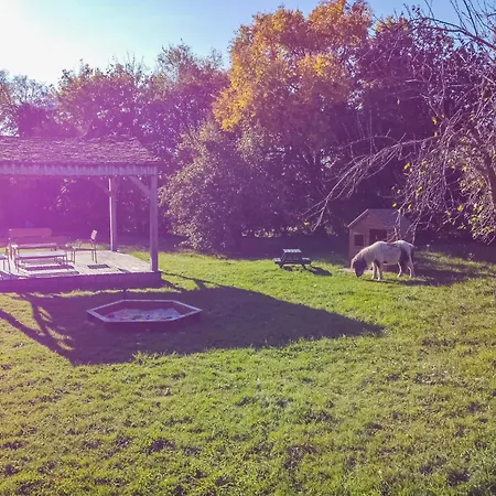 La Garenciere - Gites, Salle De Jeux, Piscine Et Animaux 別荘